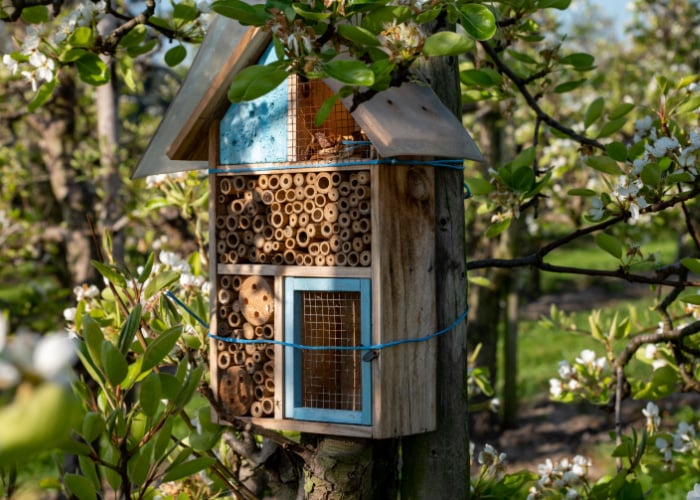 Zo maak je een bijenhuis voor je tuin