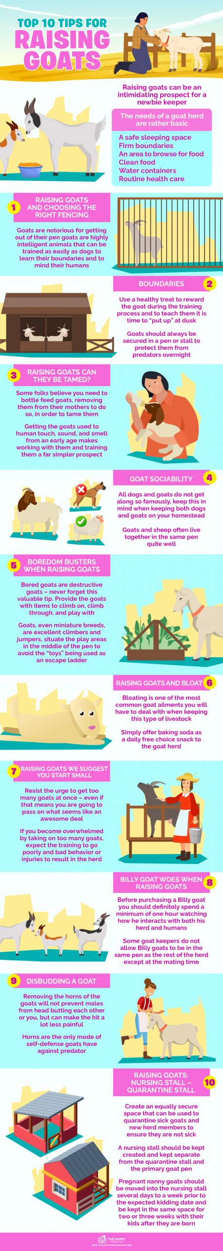 Top 10 tips voor het houden van geiten