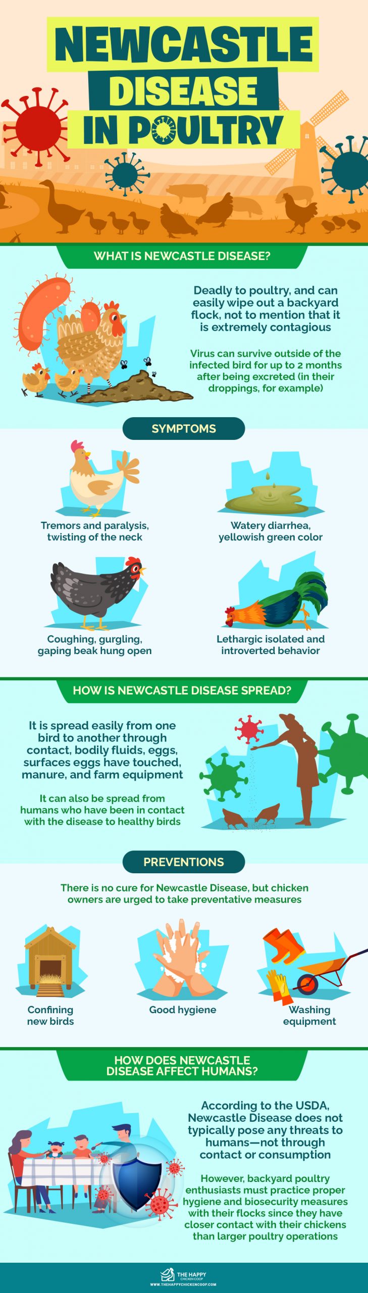 Newcastle disease bij pluimvee: wat het is en waarom er een massale ruiming van pluimvee plaatsvond in Californië